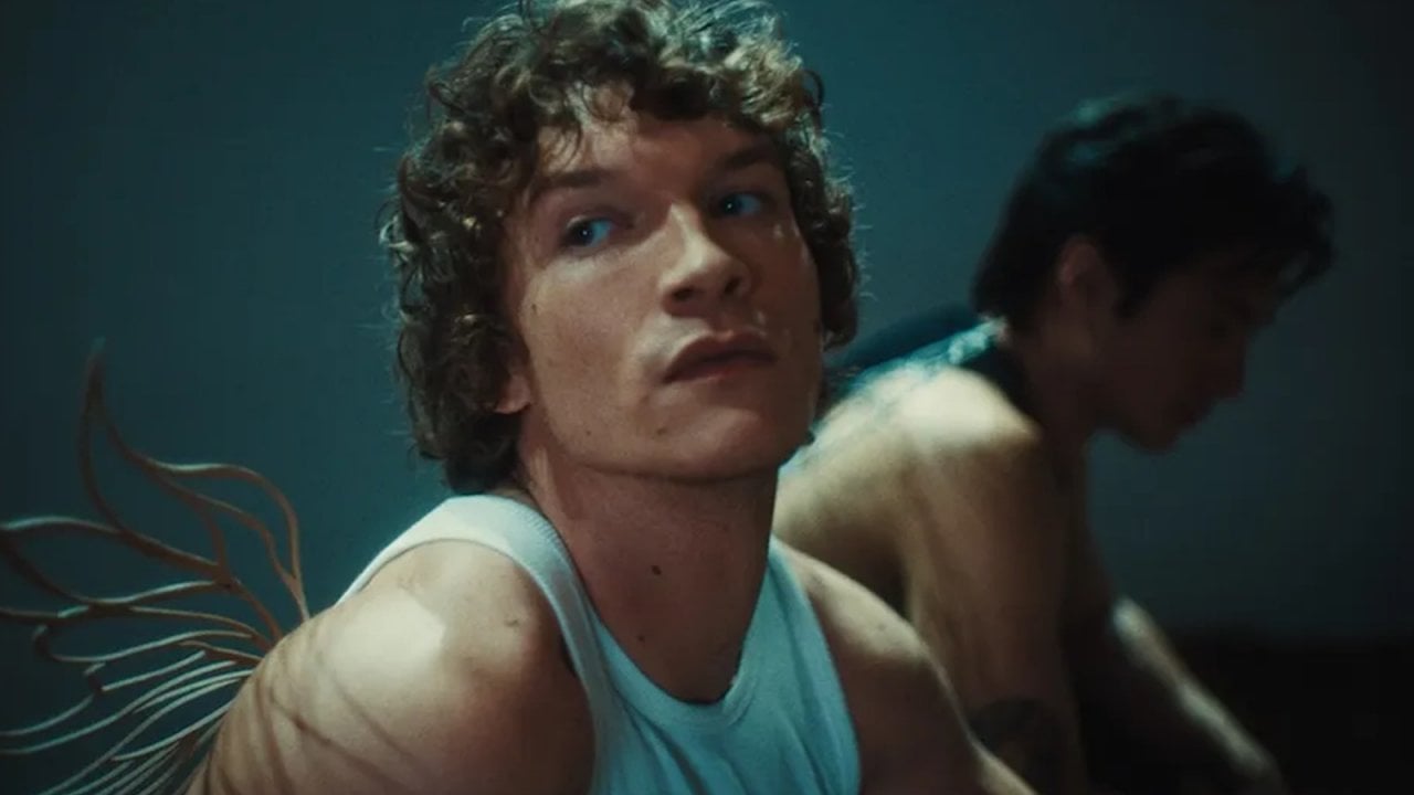 Connor Storrie e Hudson Williams: Le voci di 'Ember & Ice' dopo il successo di Heated Rivalry