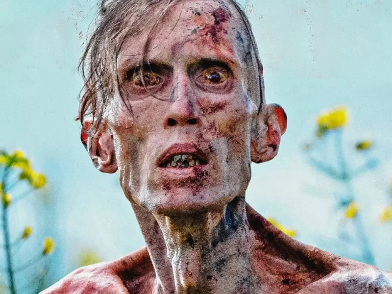 Tre pellicole del 2025: celebri tra i critici, ma fraintese dal pubblico